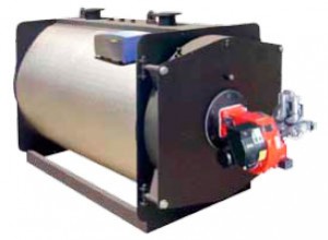 ecomax-n-3s